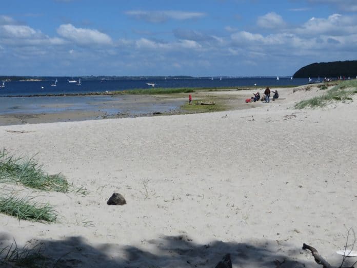 Solitüder_Strand_zum_Sommer_hin_(Flensburg-Mürwik_am_20._Juni_2015),_Bild_007