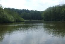 Süderbrarup: Kinder im Eis eingebrochen – 9-jähriger stark unterkühlt gerettet