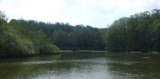 Süderbrarup: Kinder im Eis eingebrochen – 9-jähriger stark unterkühlt gerettet