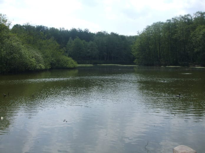 Thorsberg_Moor