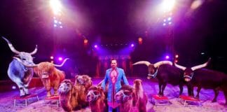 Zirkus Charles Knie kommt – Europas Top-Zirkus zu Gast in Flensburg