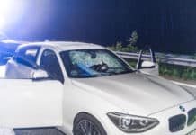 Stein-Anschläge auf Autobahn 7 bei Flensburg – Autofahrerin schwer verletzt