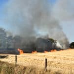 Schafflund – Großbrand bei Erntearbeiten