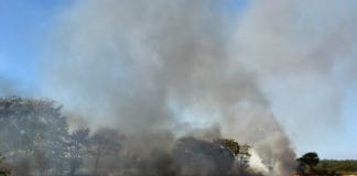 Schafflund – Großbrand bei Erntearbeiten