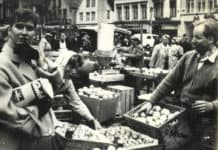 Als Marktbeschicker auf dem Südermarkt