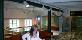 Wissenswertes im Eiszeithaus Flensburg