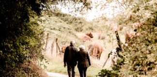 Gesetzliche Rentenversicherung: Änderungen zum 1. Januar 2021