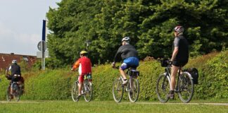 Fahrrad-Tourenleiter*innen gesucht