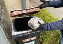 Vermeiden von Frost in der Biotonne