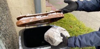 Vermeiden von Frost in der Biotonne