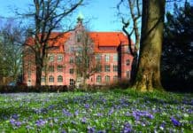 Was macht ein Museum im Lockdown?