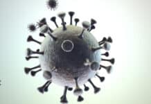 Landesregierung beschließt neue Corona-Bekämpfungsverordnung