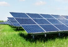 Die Dächer von Flensburgs Mehrfamilienhäusern bieten viel Platz für die Energiewende