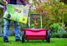 Starke Halme vertreiben Moos und Unkraut