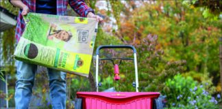 Starke Halme vertreiben Moos und Unkraut