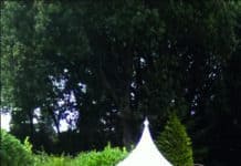 Gartentrend: Nostalgische Metallpavillons