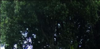 Gartentrend: Nostalgische Metallpavillons