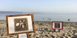 Neues Projekt der Büchereizentrale Schleswig-Holstein gestartet