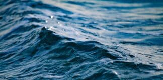 Wasserqualität der Flensburger Ostsee-Badestellen