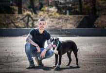 5 Dos and 5 Don’ts für den richtigen Umgang mit Hunden im Sommer