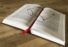 „Inspektor Takeda und die stille Schuld“