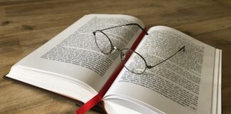 „Inspektor Takeda und die stille Schuld“