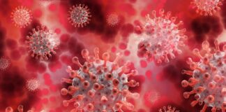 Neue Hotline für Hilfe bei Long Covid