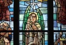 Flensburgs Geschichte entdecken