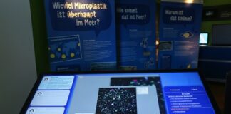 „Bunt, klein, überall.“ – Flensburger Phänomenta und IOW laden zur Finissage der Mikroplastik-Wanderausstellung ein