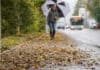 Herbst: Wer muss Bürgersteig vom Laub freihalten?