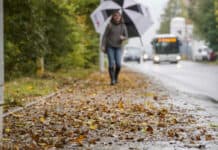 Herbst: Wer muss Bürgersteig vom Laub freihalten?