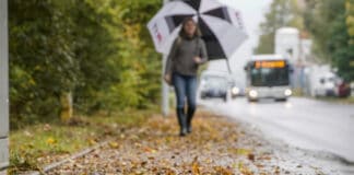 Herbst: Wer muss Bürgersteig vom Laub freihalten?