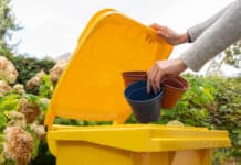 Herbststart: Abfälle rund um den Garten richtig entsorgen