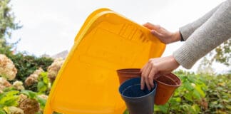 Herbststart: Abfälle rund um den Garten richtig entsorgen