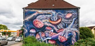 Flensburger Blickpunkte