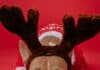Mehr als 50 % der deutschen Haustiere können sich auf ein Weihnachtsgeschenk freuen