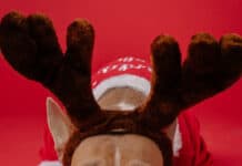 Mehr als 50 % der deutschen Haustiere können sich auf ein Weihnachtsgeschenk freuen