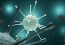 Aufruf an Gäste des Kritz