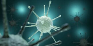 Aufruf an Gäste des Kritz