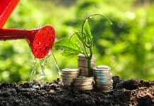 Häufige Anlagefehler – und wie man es besser macht