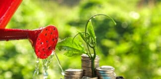 Häufige Anlagefehler – und wie man es besser macht