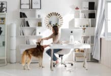 Mehr als jede:r Zweite arbeitet gerne im Home Office