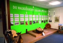 Waldmuseum Glücksburg: Ideal für Groß und Klein