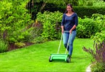 Den Rasen jetzt auf den Sommer vorbereiten