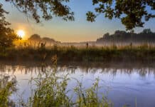 Keine Gartenbewässerung durch Entnahme aus Bächen und Teichen