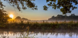 Keine Gartenbewässerung durch Entnahme aus Bächen und Teichen