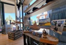 Ein Stück Schleswig-Holstein für zuhause: Mitbringsel aus dem echten Norden