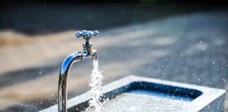 Sommerzeit ist Legionellenzeit: Wie sich Bakterien im Trinkwasser vermeiden lassen