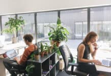 Tipps gegen Hitze und blendende Sonne im Büro