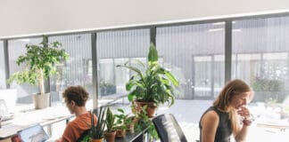 Tipps gegen Hitze und blendende Sonne im Büro